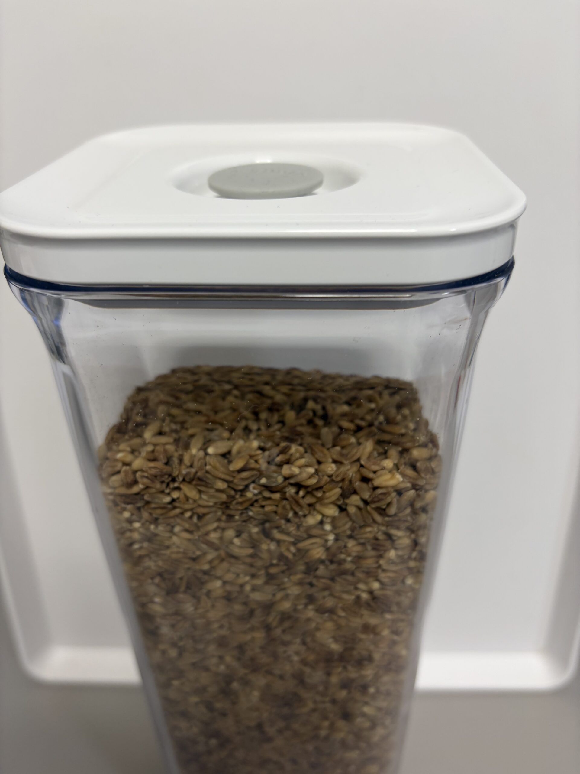 VAKUENの真空容器でスーパー大麦を保存